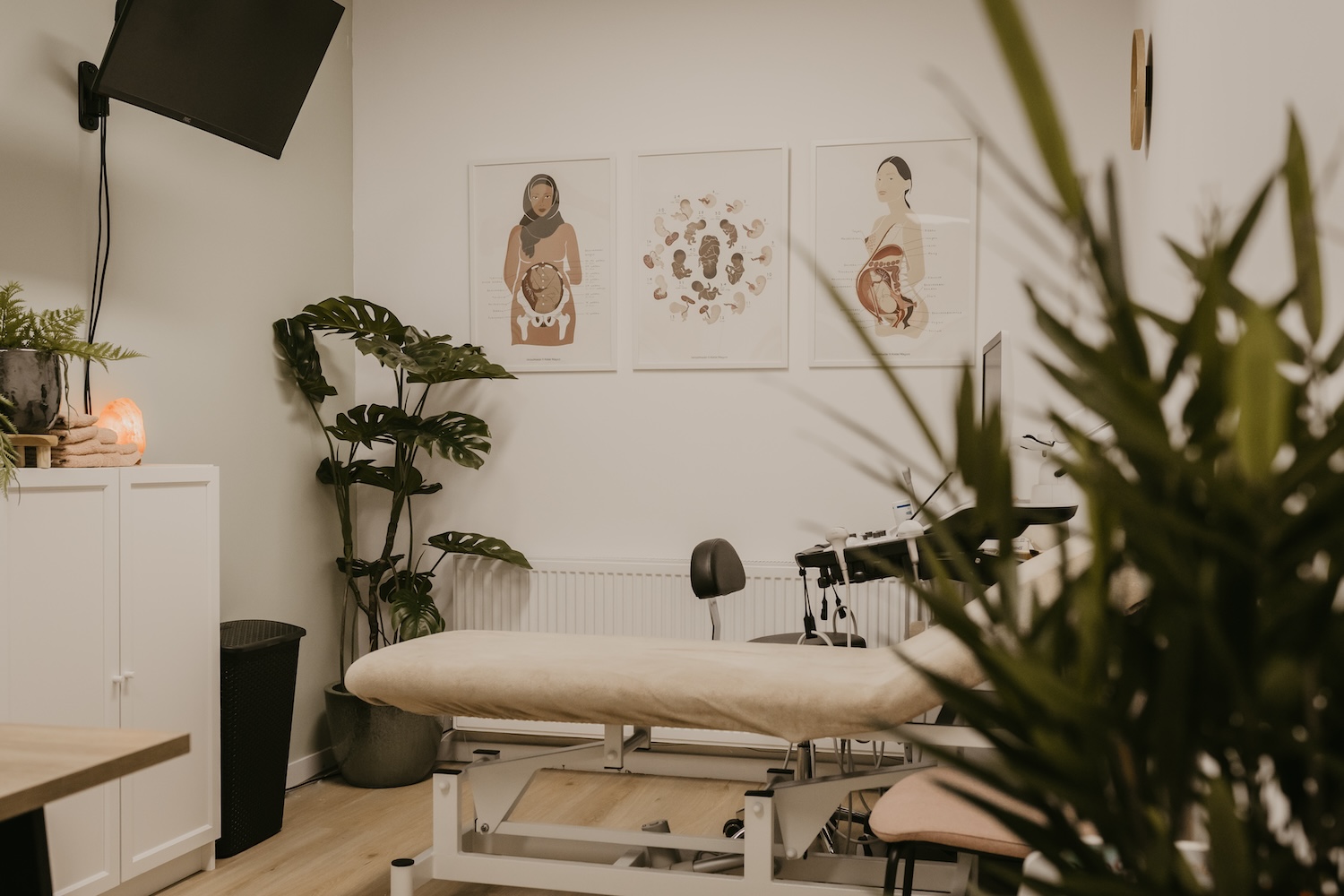 Lees meer over het artikel Test